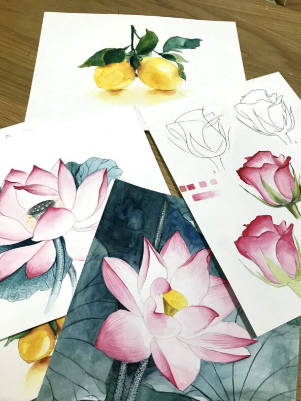 Học vẽ hoa sen - Bạn yêu thích nghệ thuật, đặc biệt là vẽ tranh? Hãy đến đây để học cách vẽ hoa sen, một chủ đề rất yêu thích trong vẽ tranh. Bạn sẽ học được những kỹ thuật cơ bản và tạo ra những bức tranh tuyệt đẹp với hoa sen thật sống động.